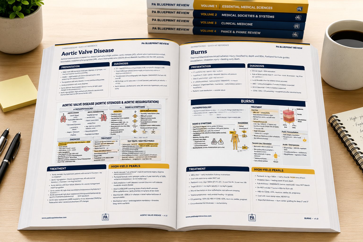 The 8-week PANCE Study Schedule — featured article