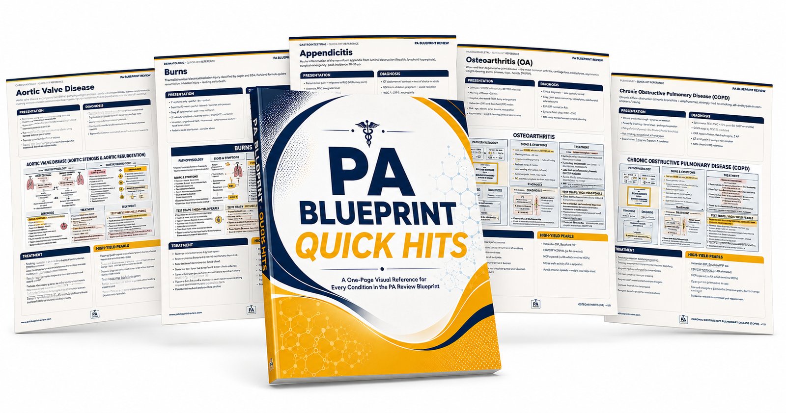 PA Blueprint Quick Hits — one-page visual reference for every condition in the PA Review Blueprint